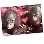 2026 Calendar